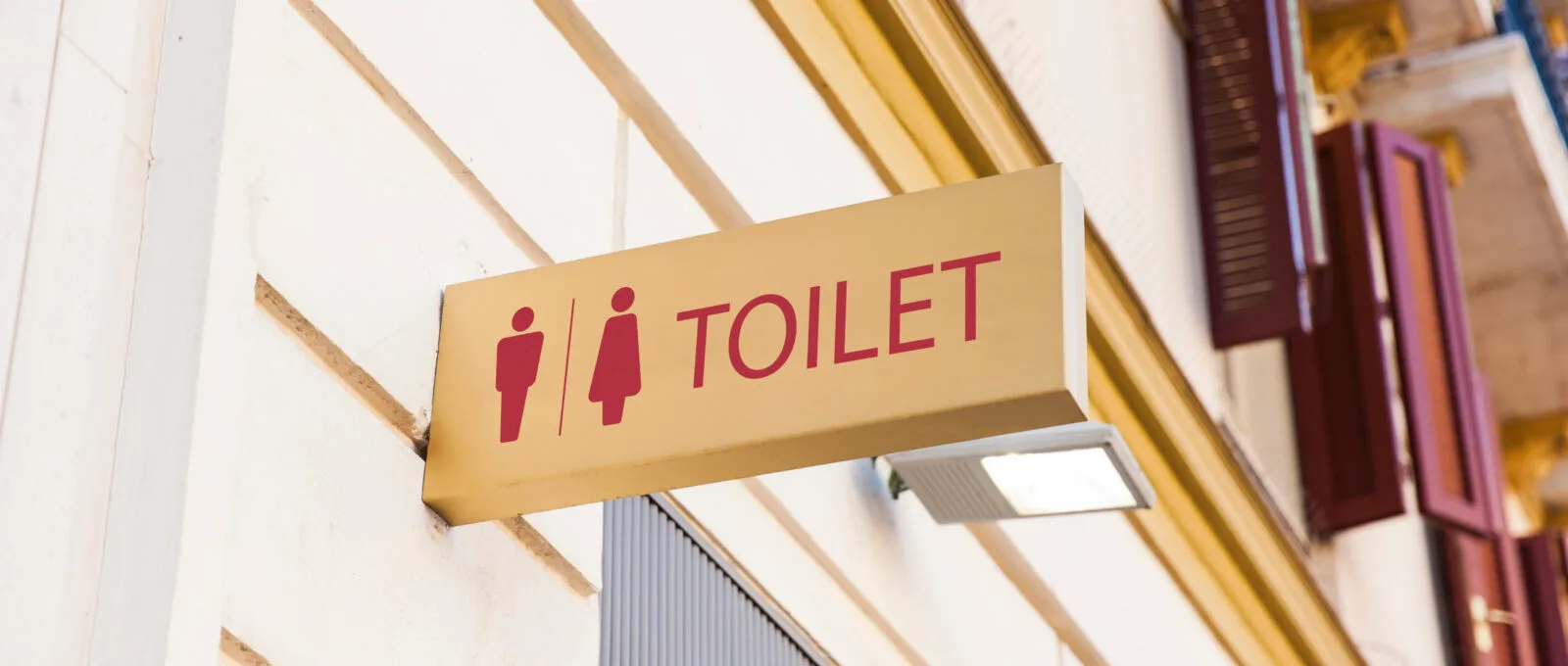Bladder Issues