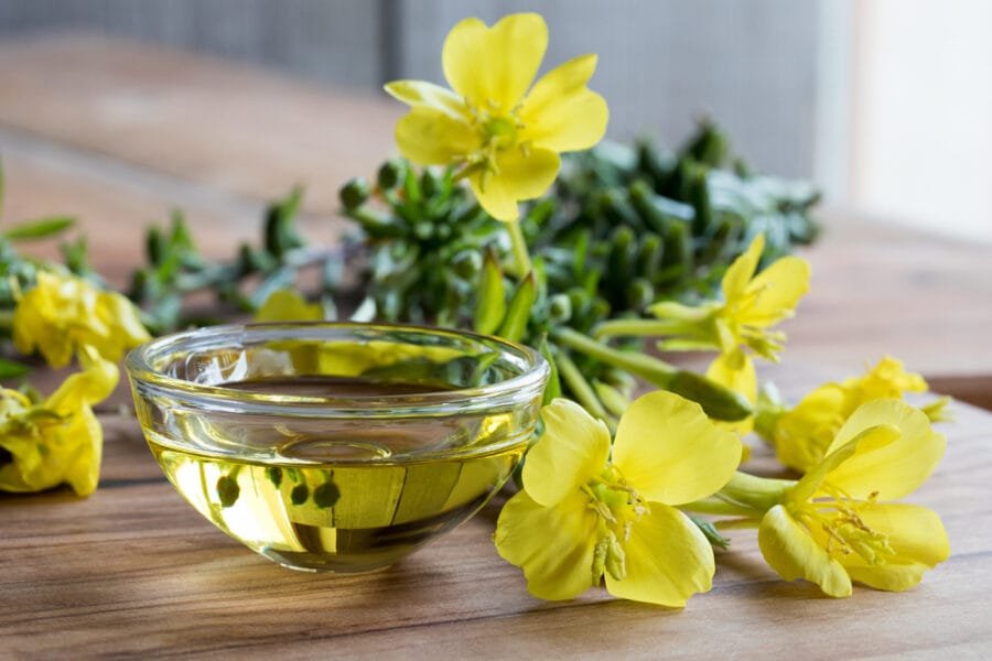 Evening Primrose Oil